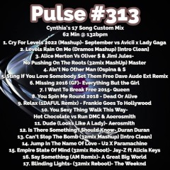 Pulse 313..